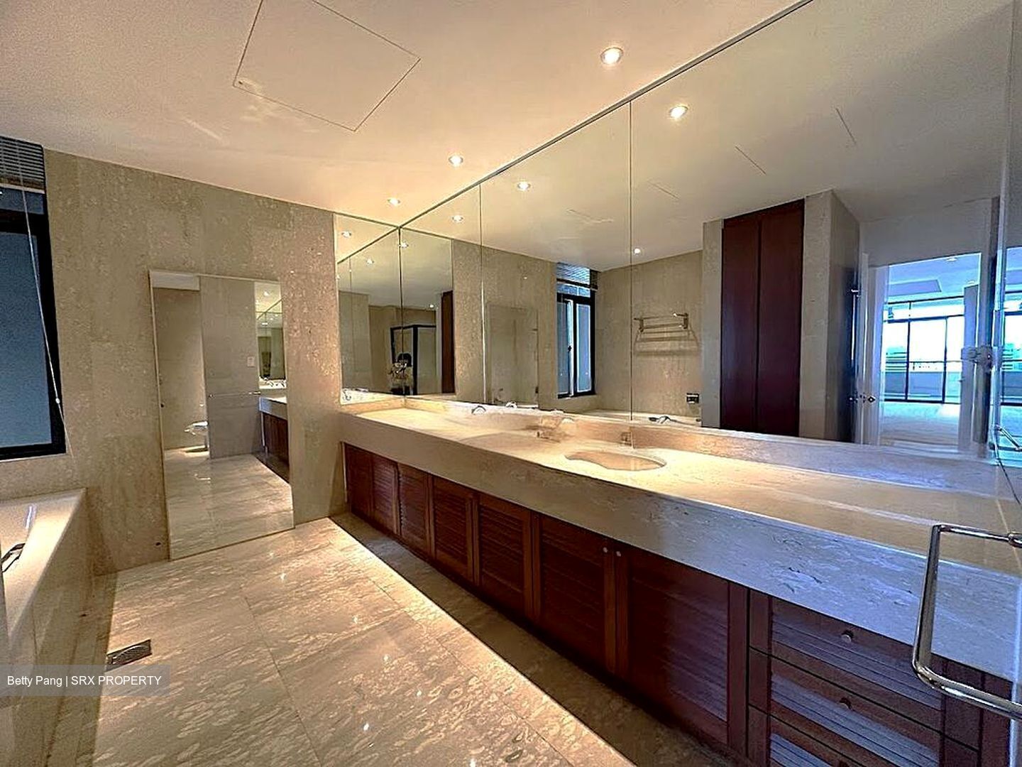 The Colonnade (D10), Condominium #460327081